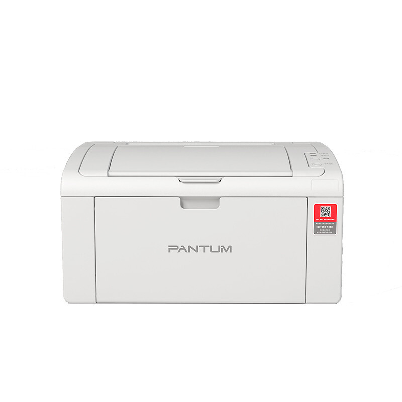 奔图（Pantum） P2510 激光打印机