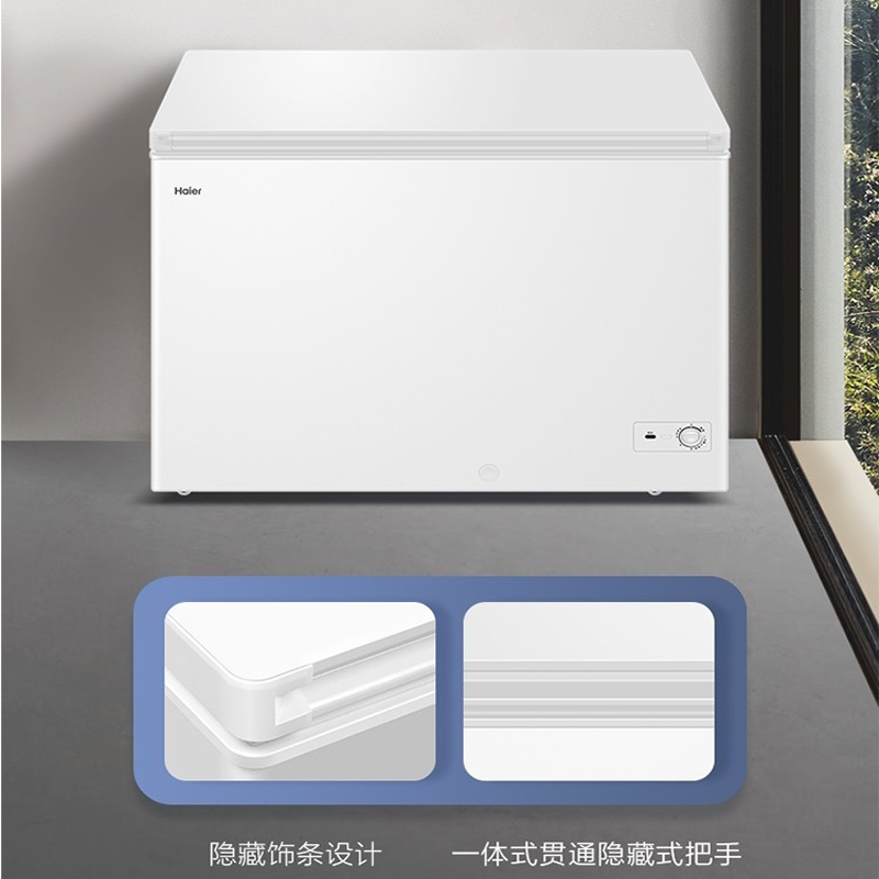 海尔（Haier）冰柜家用卧式冷柜冷藏冷冻速冻商用冰柜大容量 BC/BD-300GH00W0 电冰箱