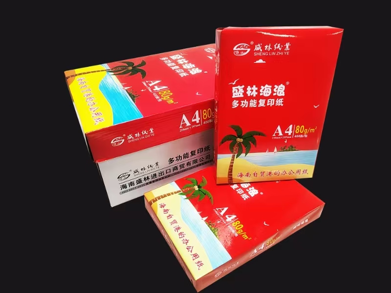 复印纸 盛林海浪 无系列 A4 80g 10包 400张/包