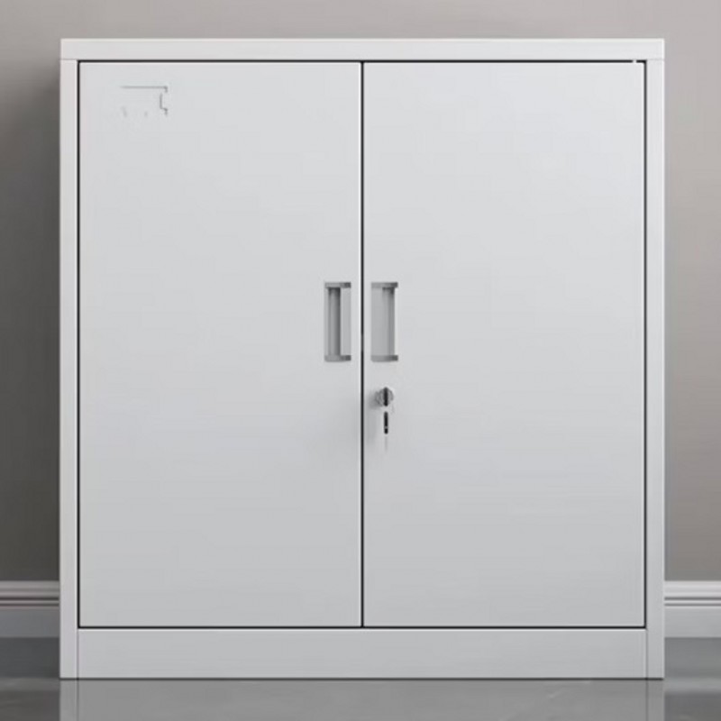 档案文件柜 佳美特 JMT-021 2层 双门 平开门式 钢