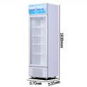 穗凌（SUILING） LG4-259L 冰柜立式冷柜单门电冰箱展示柜冷藏柜